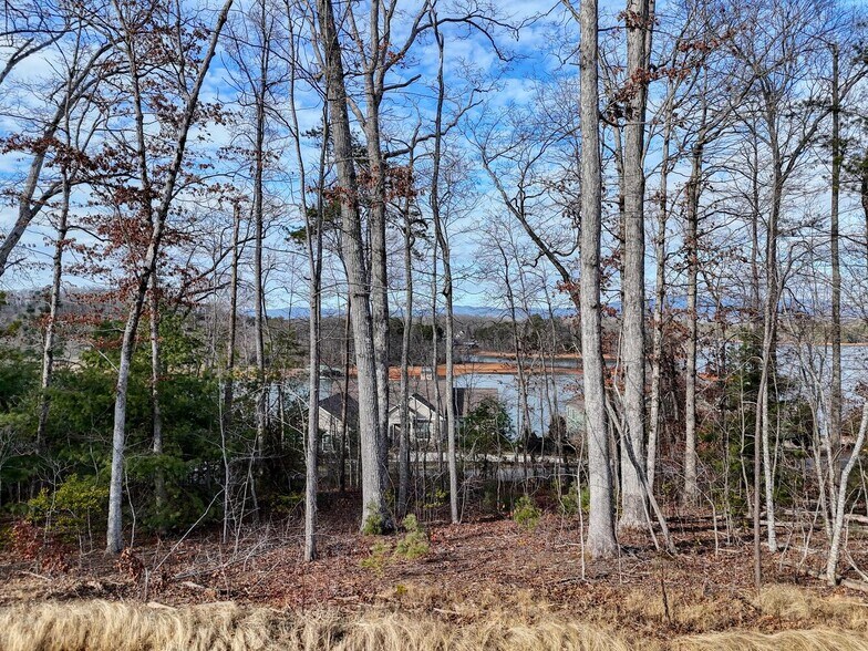 More Photos Of 00 US 76 w hwy, Hiawassee Land For Sale