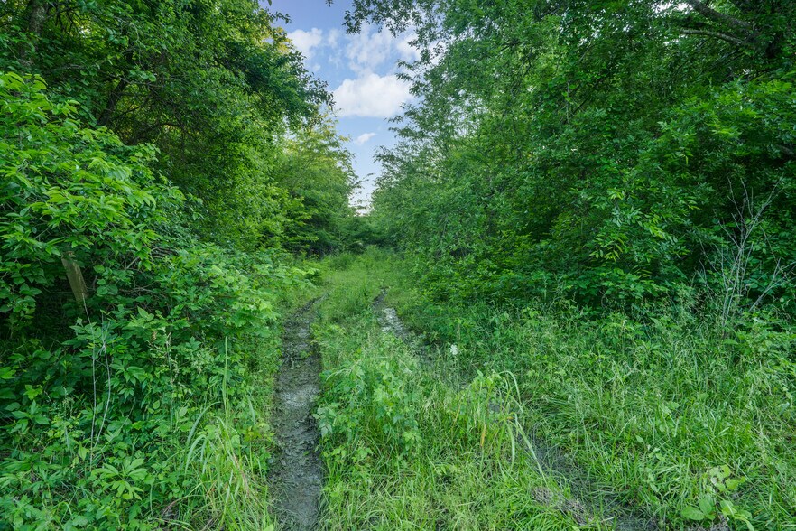 More Photos Of 3150 FM 272, Celeste Land For Sale