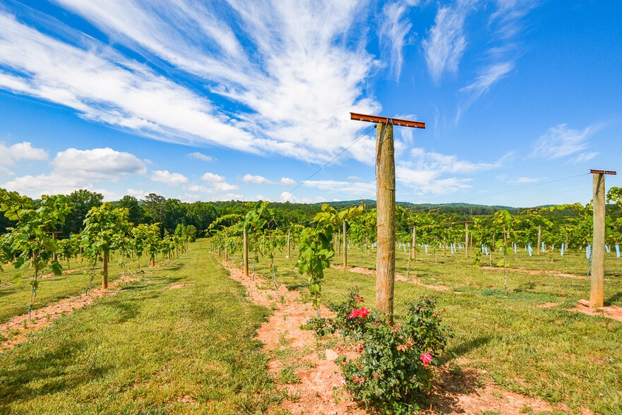 More Photos Of 119 Inland Dr, Talking Rock Winery Vineyard For Sale