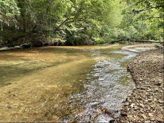 More Photos Of 2245 Big Ivy Rd, Savannah Land For Sale
