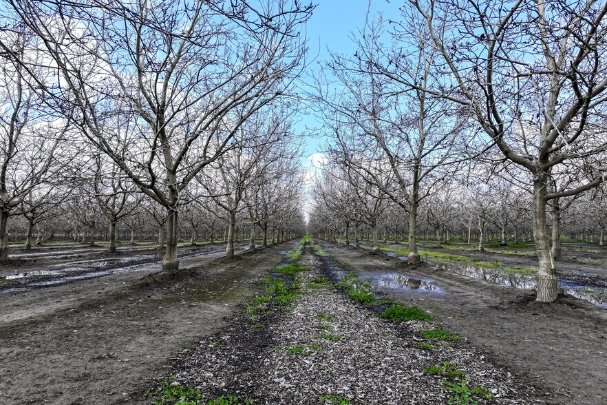 More Photos Of Road 180, Strathmore Land For Sale