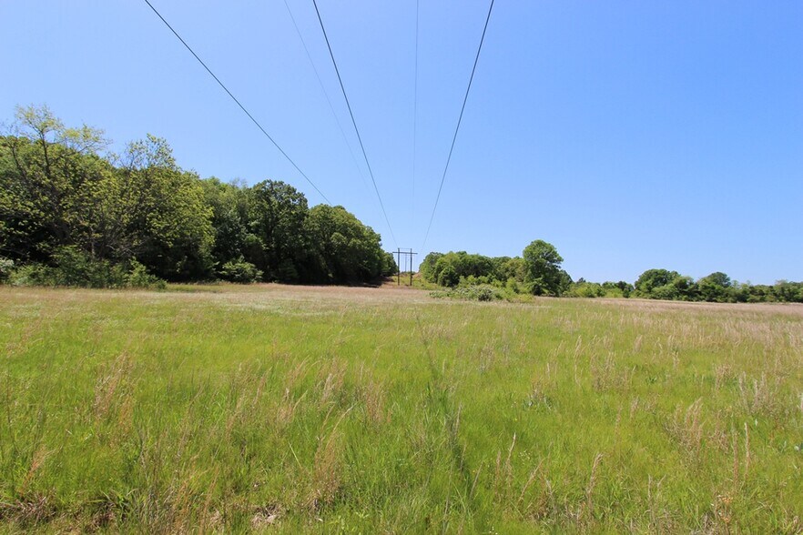 More Photos Of 278 Highway 64 E, Conway Land For Sale