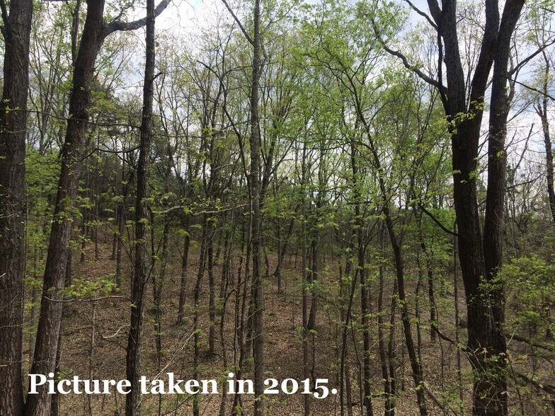 More Photos Of Pinyan, Ranger Land For Sale