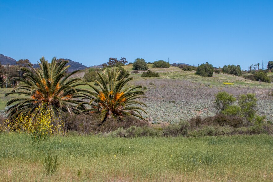 More Photos Of Paseo Delicias Paseo, Rancho Santa Fe Land For Sale