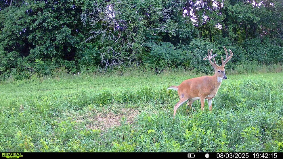 More Photos Of Highway D (77.2+/- Acres) Tract 1, Eolia Land For Sale