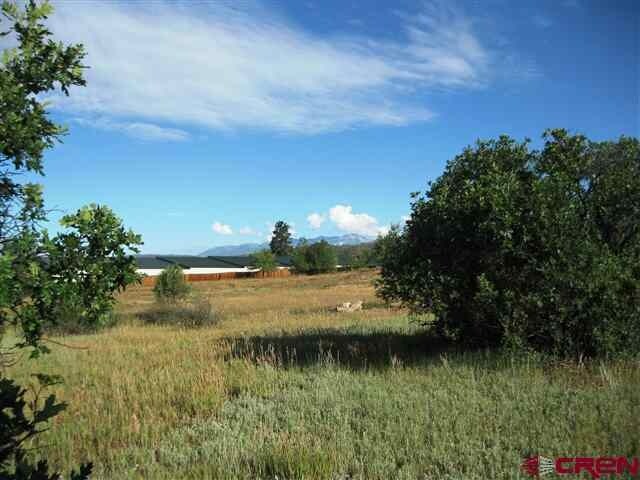 More Photos Of 277 County Route 233, Durango Land For Sale