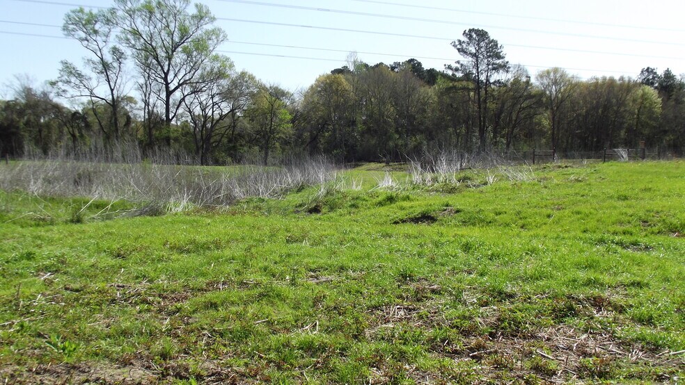 More Photos Of 24030 Hegar Rd, Hockley Land For Sale