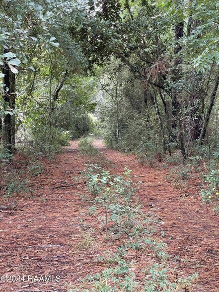 More Photos Of 800 Blk La Maison Rd, Duson Land For Sale