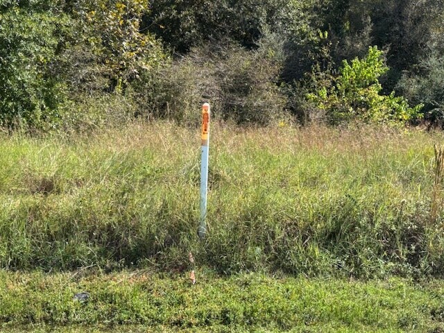 More Photos Of 12903 U.S. 59, Beasley Land For Sale