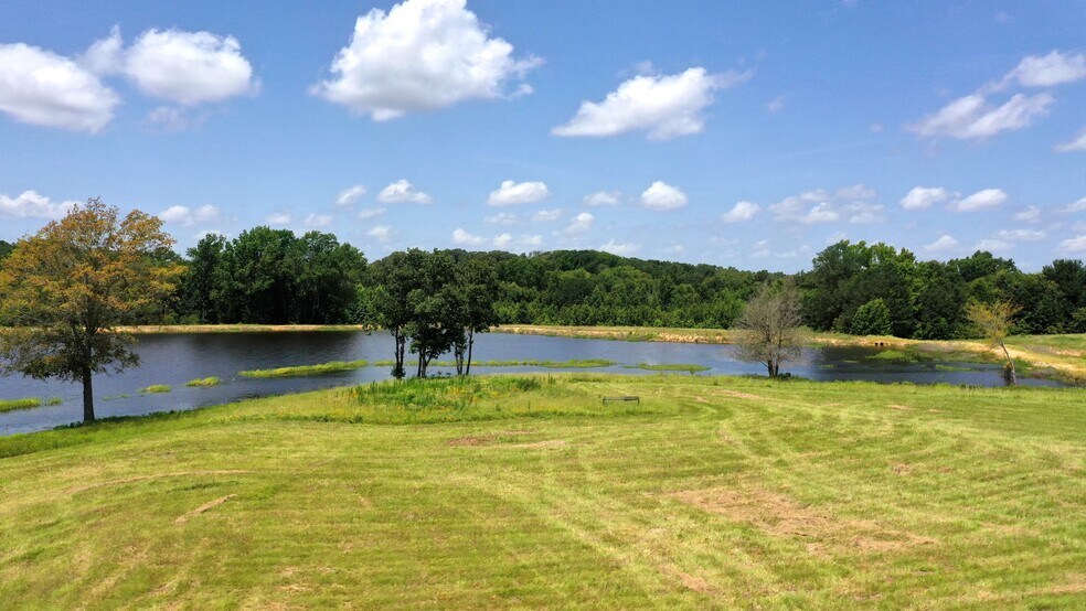 More Photos Of 13530 FM 773, Ben Wheeler Land For Sale