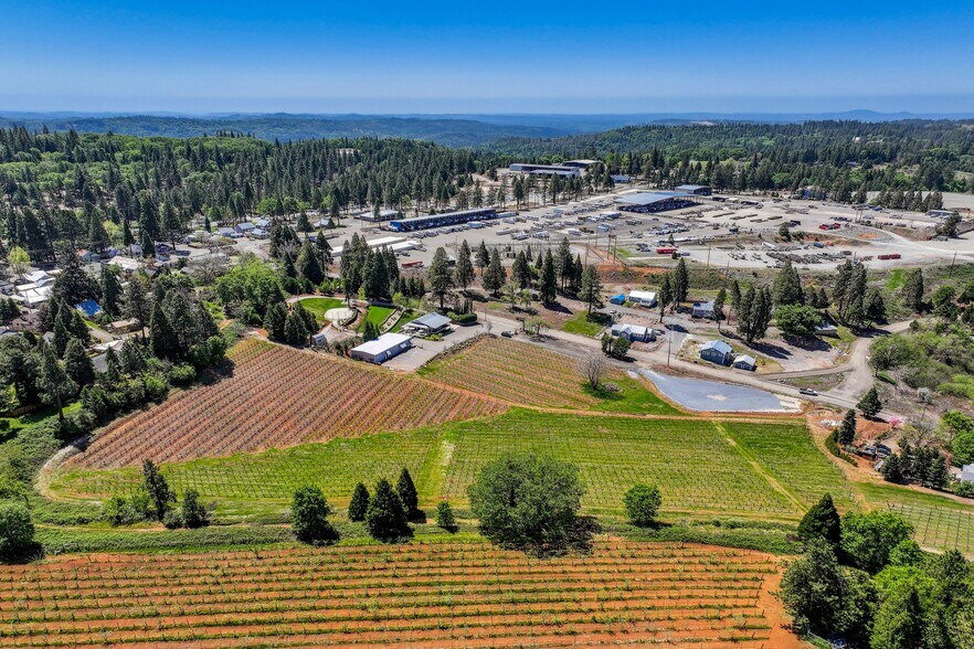 More Photos Of 2875 Larsen Dr, Camino Winery Vineyard For Sale