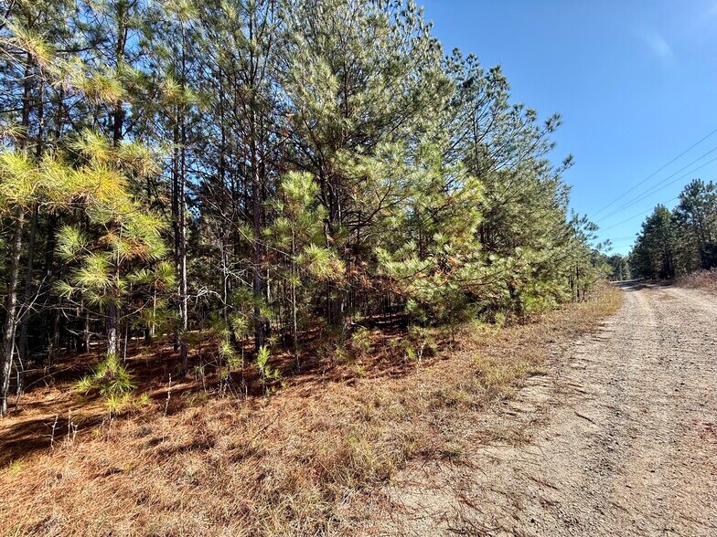 More Photos Of 4212 US Highway 378 W, Mc Cormick Land For Sale