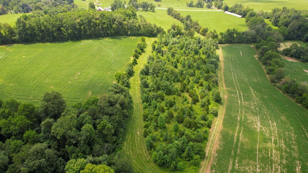 More Photos Of 0 Coffman Rd, Borden Land For Sale