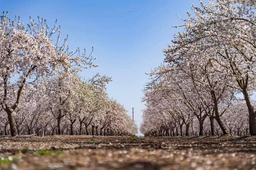 More Photos Of E Terra Bella Ave @ Rd 140, Pixley Land For Sale