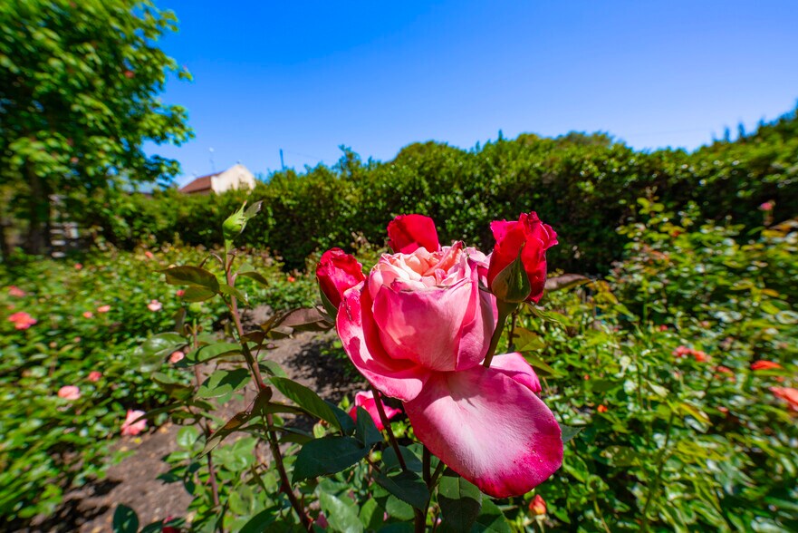 More Photos Of 9000 Highway 128, Philo Hotel For Sale