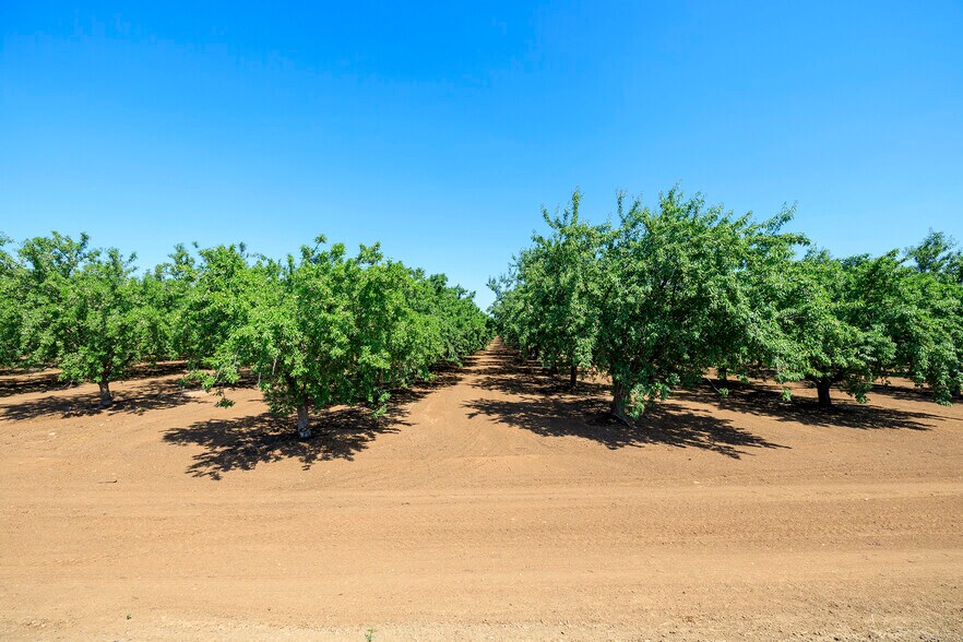 More Photos Of Draper Rd, Newman Land For Sale