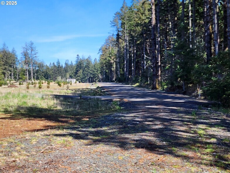 More Photos Of Hubbard Ln @ Cemetery Loop Rd, Port Orford Land For Sale
