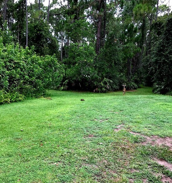 More Photos Of 2380 Shepherd Ave, Saint Cloud Land For Sale