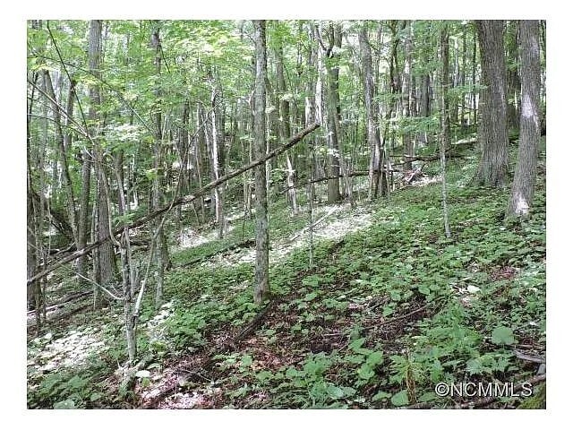 More Photos Of 329 Hamlin Lane, Mars Hill Land For Sale