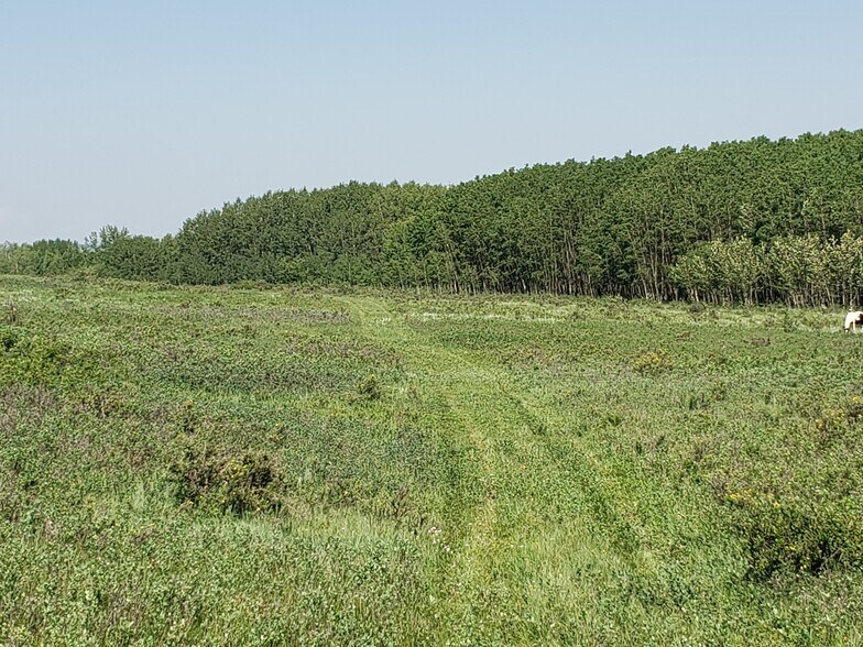 More Photos Of 2 Bow River, Rocky View No 44 Land For Sale