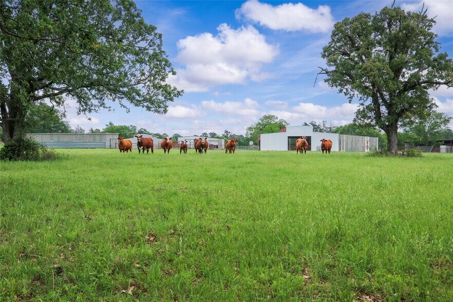 More Photos Of 128 Duke Rd, Bedias Land For Sale