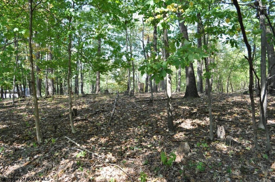 More Photos Of 3039 Earl L Core Rd, Morgantown Land For Sale