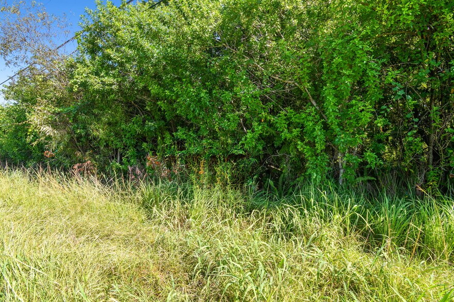 More Photos Of 10502 & 11632 Bill Tucker, Wimauma Land For Sale