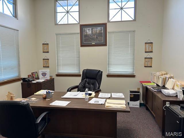 More Photos Of 263 Madison ave, Wood River Office For Sale