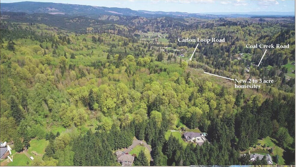 More Photos Of 0 Carlon Loop Rd, Longview Land For Sale