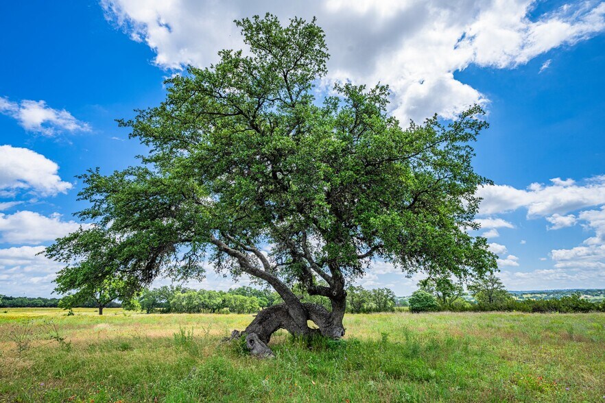 More Photos Of 1430 Gibson Best, Hye Land For Sale