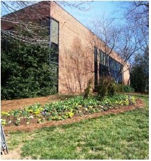 More Photos Of 7500 Six Forks Rd, Raleigh Office For Lease