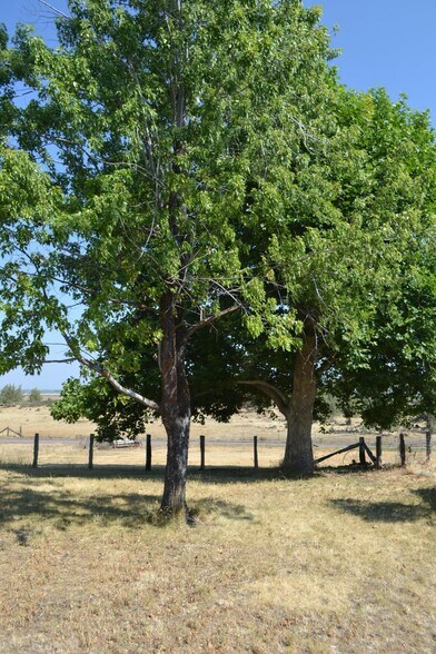 More Photos Of 540-090 Little Valley Rd, Mcarthur Land For Sale