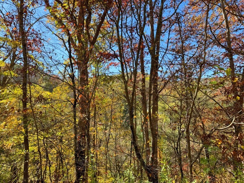 More Photos Of 0 Sewell Creek Rd, Meadow Bridge Land For Sale