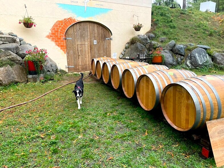 More Photos Of 1673 Woodland Dr, Port Townsend Winery Vineyard For Sale