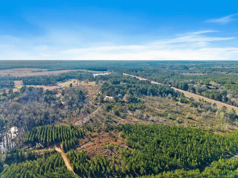 Primary Photo Of 55750 Lottie Rd, Perdido Land For Sale