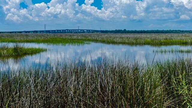 More Photos Of 3390 State Road A1A, Jacksonville Land For Sale