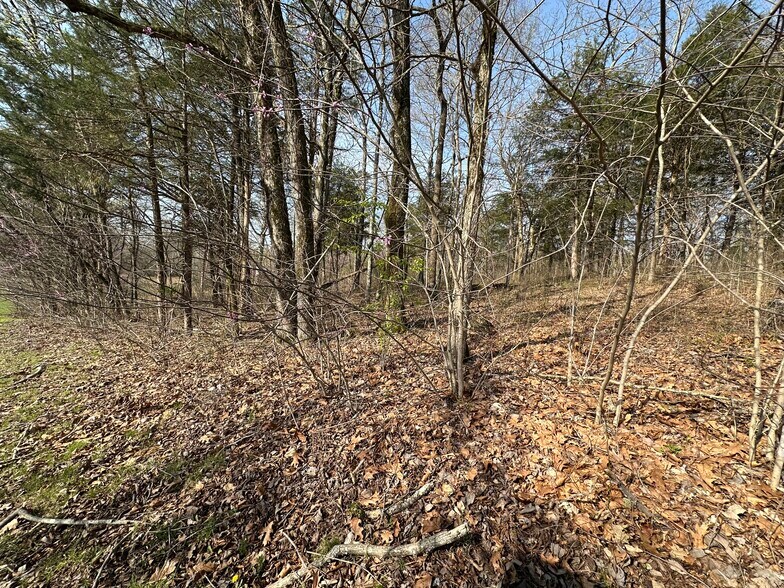 More Photos Of 7312 Highway 60, Georgetown Land For Sale