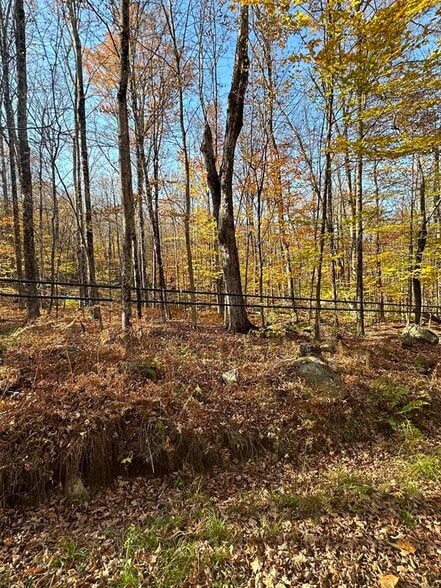 More Photos Of 1928 VT-131, Springfield Land For Sale