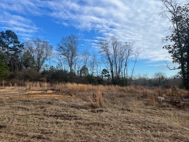 More Photos Of 52000 Block US-31 Hwy, Perdido Land For Sale