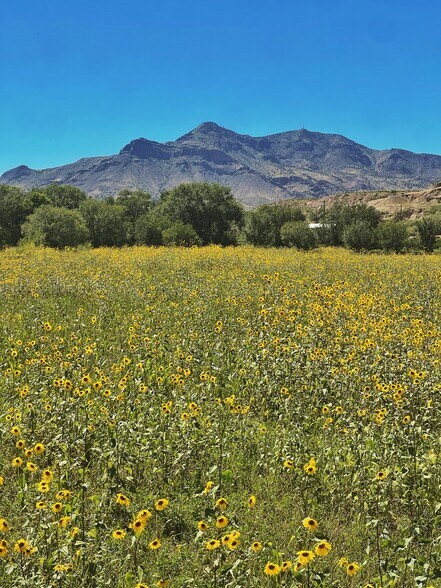 Primary Photo Of Polvadera Rd, Polvadera Land For Sale