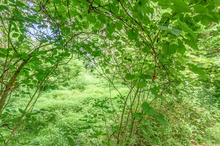 More Photos Of 0 Olentangy River, Delaware Land For Sale