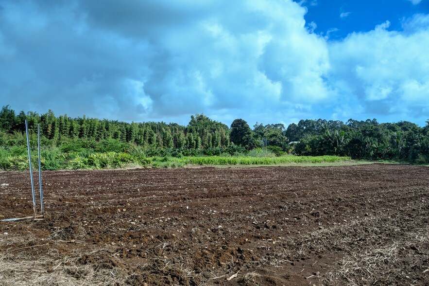 More Photos Of 27-2760 Hawaii Belt Rd, Pepeekeo Land For Sale