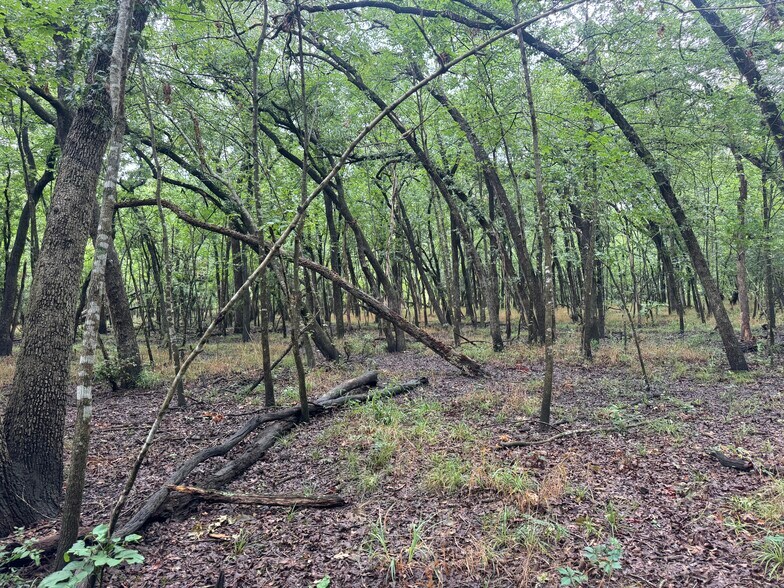 More Photos Of Highway 276, Quinlan Land For Sale