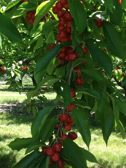 More Photos Of 32624 S Finley Point Rd, Polson Specialty For Sale