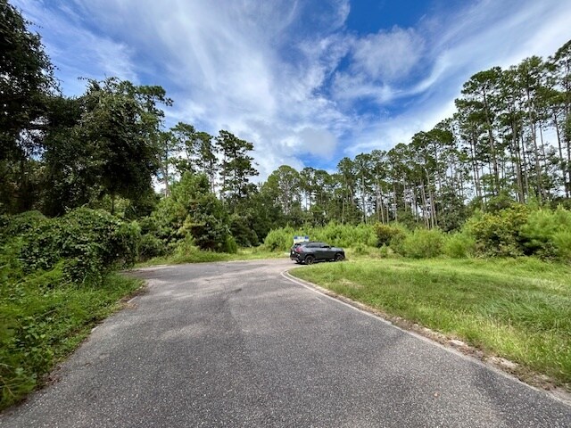 More Photos Of 97124 Elk Creek ct, Fernandina Beach Land For Sale