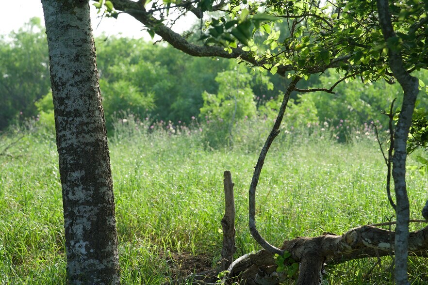 More Photos Of 00 Taylorsville Rd, Red Rock Land For Sale
