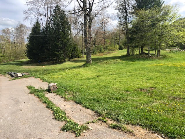 More Photos Of Route 250/92 Durbin, WV, Huttonsville Land For Sale