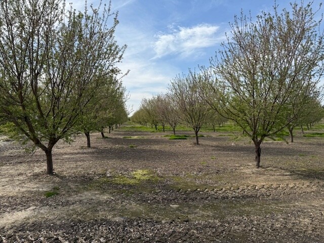 More Photos Of Leedom Rd @ Mountain View Rd, Hughson Land For Sale