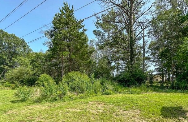 More Photos Of 109 Woodchase Park Dr, Clinton Land For Sale
