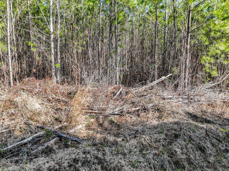 More Photos Of 184 Young Rd, Milledgeville Land For Sale